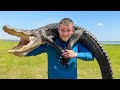 This Alligator Has Become A Serious Problem