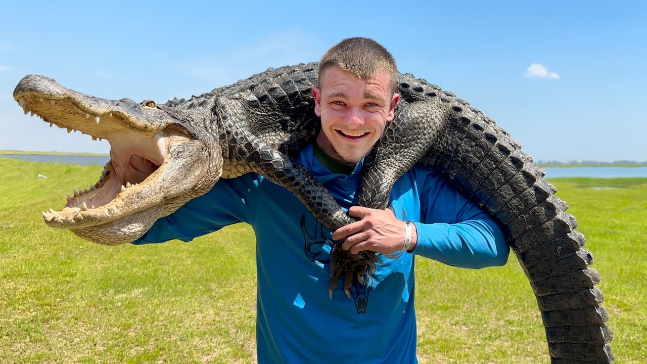 This Alligator Has Become a Serious Problem