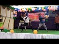 Gilli Gilliga Song Performance By Parvathipuram ST Hostel Boys SSD Group Parvathipuram