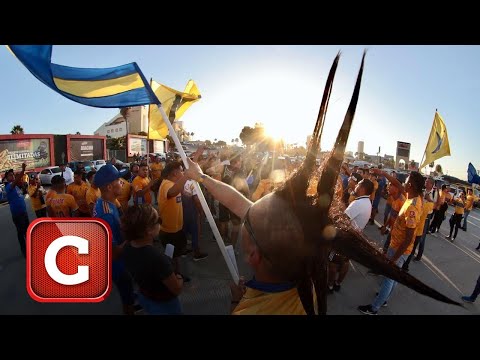 "El apoyo de la afición de Tigres en el Estadio Caliente / Cancha" Barra: Libres y Lokos &bull; Club: Tigres
