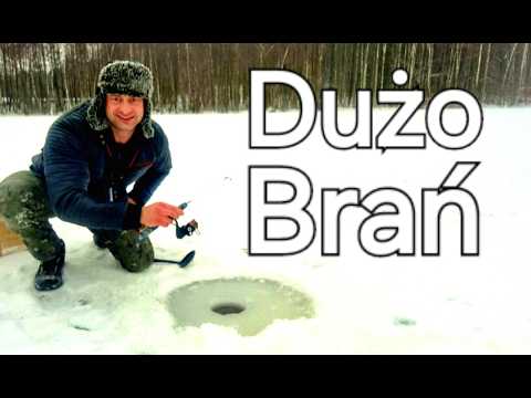 FANTASTIC PERCH + BONUS FISH!!! I Didn't Expect This Fish