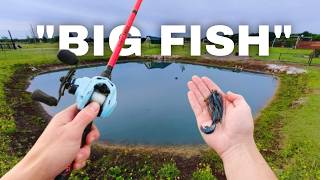 The Owner Said “Somebody Has to Fish It…” I Didn’t Expect This