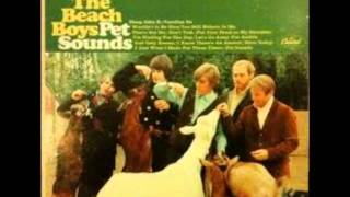 The Beach Boys- I Know There&#39;s An Answer (Vocal Insert Attempts by Mike)