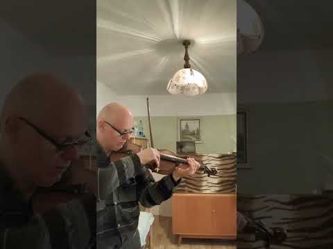 Bratříčku, zavírej vrátka - housle - samouk