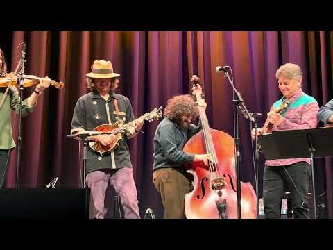 “Tipsy Gypsy” - Dawg at 80! Sam Grisman Project featuring Billy Strings - 3/25/25 - Seattle, WA