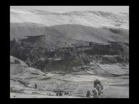 Nilo Soruco - La Caraqueña