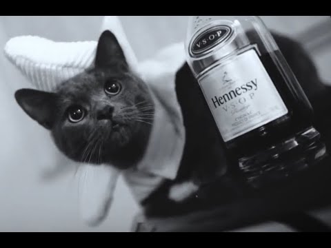 Evergreen MC - Forever (Prod. LRD)