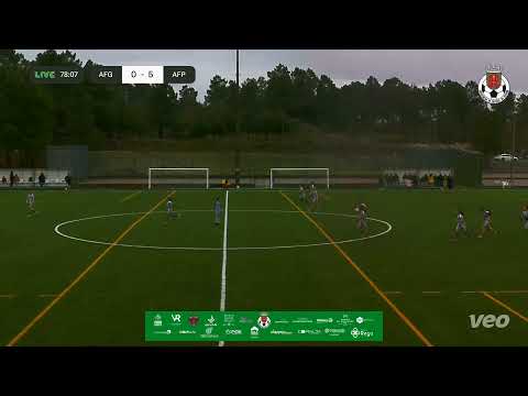 AF Guarda vs AF Porto
