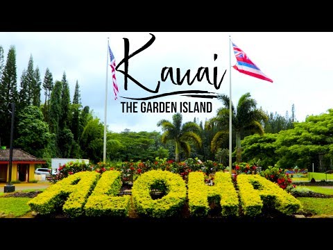 DMG United Video Production video.