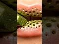 Acidic lipstick asmr makeup #asmr #aiasmr #asmrmakeup #makeupasmr #satisfying #ai