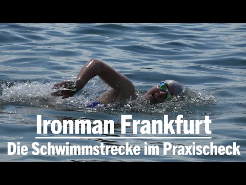 Ironman Frankfurt | Die Schwimmstrecke im Praxistest
