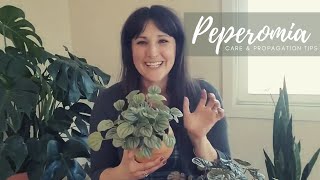 Peperomia | Complete Care & Propagation Guide