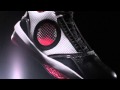 Air Jordan 2010