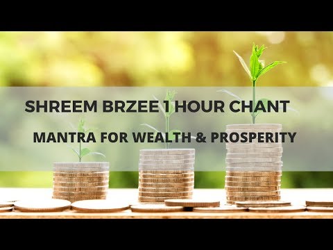 Shreem Brzee Mantra 1 Hour Chant | Mantra For Wealth Consciousness | Pillai Center
