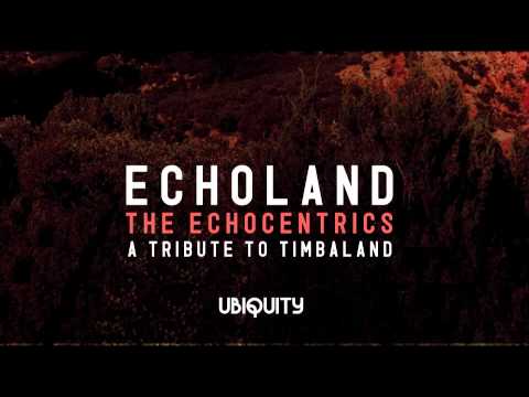 The Echocentrics - "It's Hot" (Echoland: A Tribute To Timbaland)