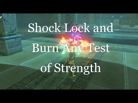 Shock Trap any Test of Strength or Guardian Black Hinox Zelda BOTW