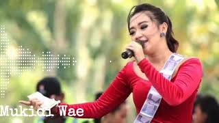 Download lagu NEW MONAT TATU RENA KDI FEAT SODIQ RAMAYANA AUDIO mp3 Download lagu NEW MONAT TATU RENA KDI FEAT SODIQ RAMAYANA AUDIO mp3