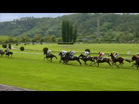 2017.05.14 Velká jarní cena (Czech 2000 Guineas) - Sir Sun