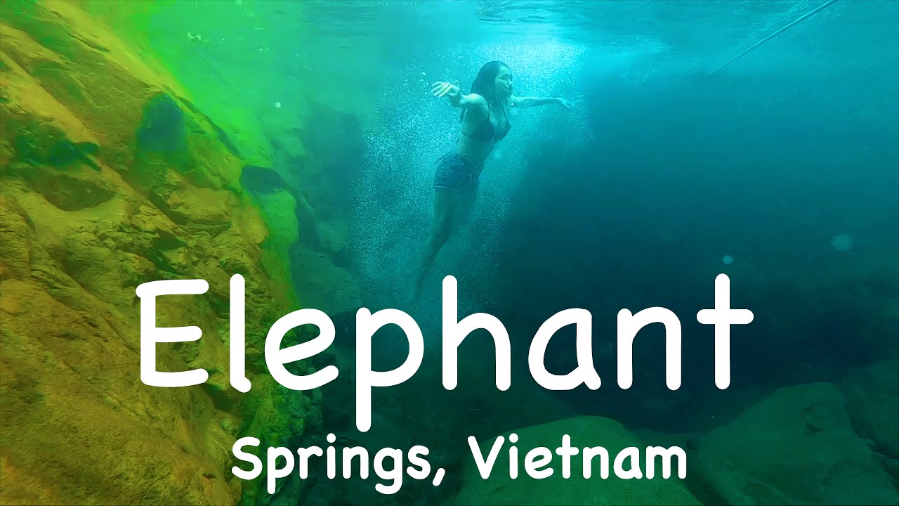 Group of travelers visit Elephant Springs in this video tour.