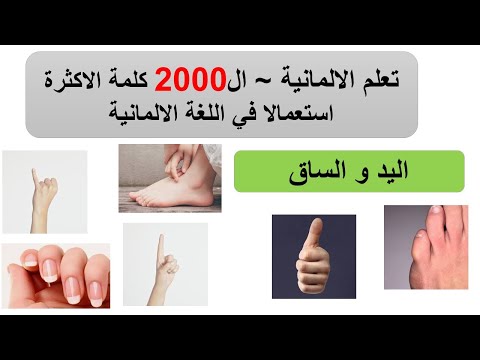 تعلم اللغة الالمانية ~ 2000 كلمة الاكثرة استعمالا ج 37 :  اليد و القدم  بالالماني