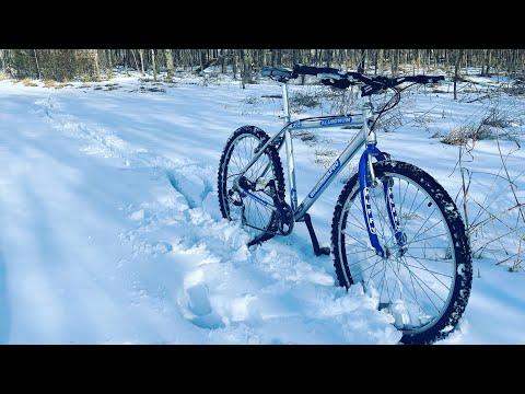 classic bikes for restoration