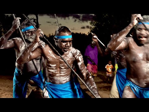 Anngalbiya (Toothless Catfish) - Jambalmurru Nunggarrgalu