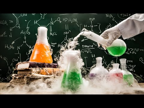 Experimental Bean breeding success& auto kush update🔥