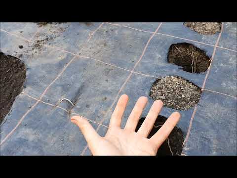 Susza! Przygotuj się! Sposoby na Suszę w Ogrodzie