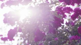 LisM - Fragile Hunch