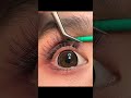 Magnetic eyelashes || credit goes to eyemakeupla on TikTok