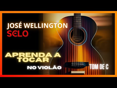 O Selo - Banda Passos