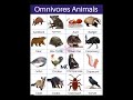 Omnivores Animals Name #education #shorts #shorts @learnwithmk5825
