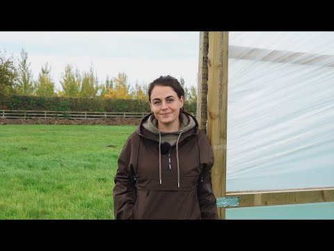 Mi trasferisco in una nuova azienda agricola di fiori (dopo 8 anni)
