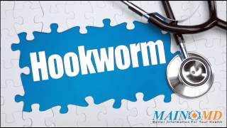Hookworm ¦ Treatment and Symptoms