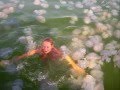 Woman Attacked By A Swarm Of Jellyfish! - YouTube