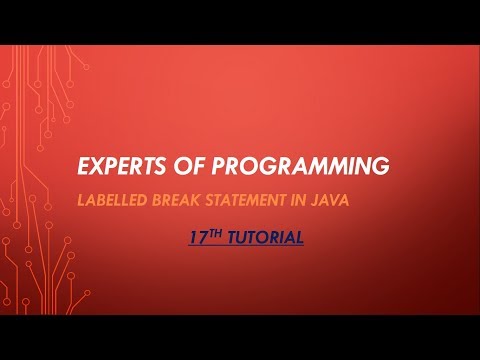 Java Programming Tutorial In Urdu Hindi 17th Tutorial Labelled Break Statement In Java