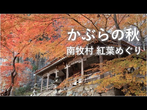 かぶらの秋～群馬県南牧村紅葉めぐり～｜富岡行政県税事務所｜群馬県