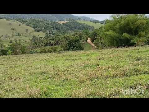 REGIÃO DO RIACHO DA CRUZ MUTUIPE BAHIA  IVONILDO OFICIAL 31 10 2025 