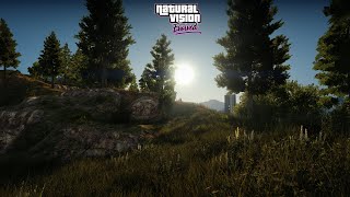 GTA 5 RTX 2060 Close to Realistic Graphics And Ray Tracing Gameplay And Dense Of Forest