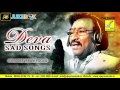 AAVAARAM POOVU ONNU NAMMA OORU POOVAATHAA KJ YESUDAS MURALI GOWTHAMI VIJAY MUSICALS