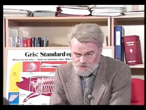 Trond Kirkvaag: Helsedirektøren