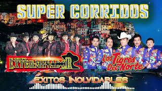 2 Horas de Puros Corridos 🔥 Los Tigres del Norte y Grupo Exterminador Mix 2025 🎶 Corridos Viejos