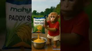 Download lagu The poor baby monkey's home destroy in rain #ai #babymonkey #baby mp3 Download lagu The poor baby monkey's home destroy in rain #ai #babymonkey #baby mp3