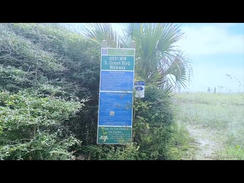 #beachviews North Myrtle Beach