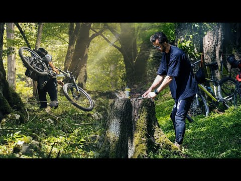 Mountain Forest Challenge | Solo Bike Camping & Bushcraft Cooking