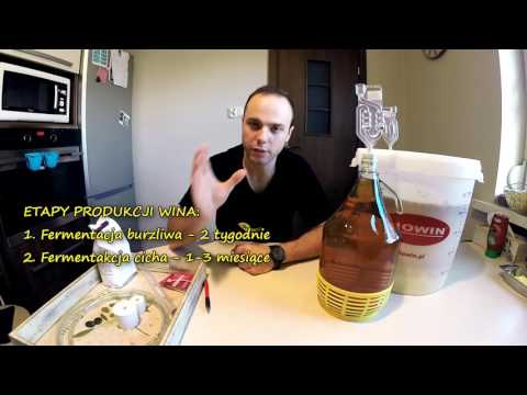 Etapy produkcji wina. Jak zrobić domowe wino