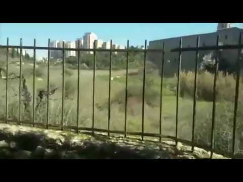 How to Find The Truth - It's All From Hashem