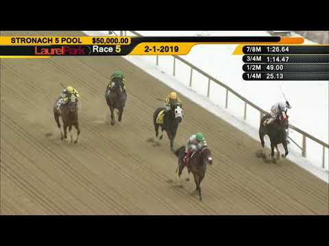 LAUREL PARK 2 1 2019 RACE 5