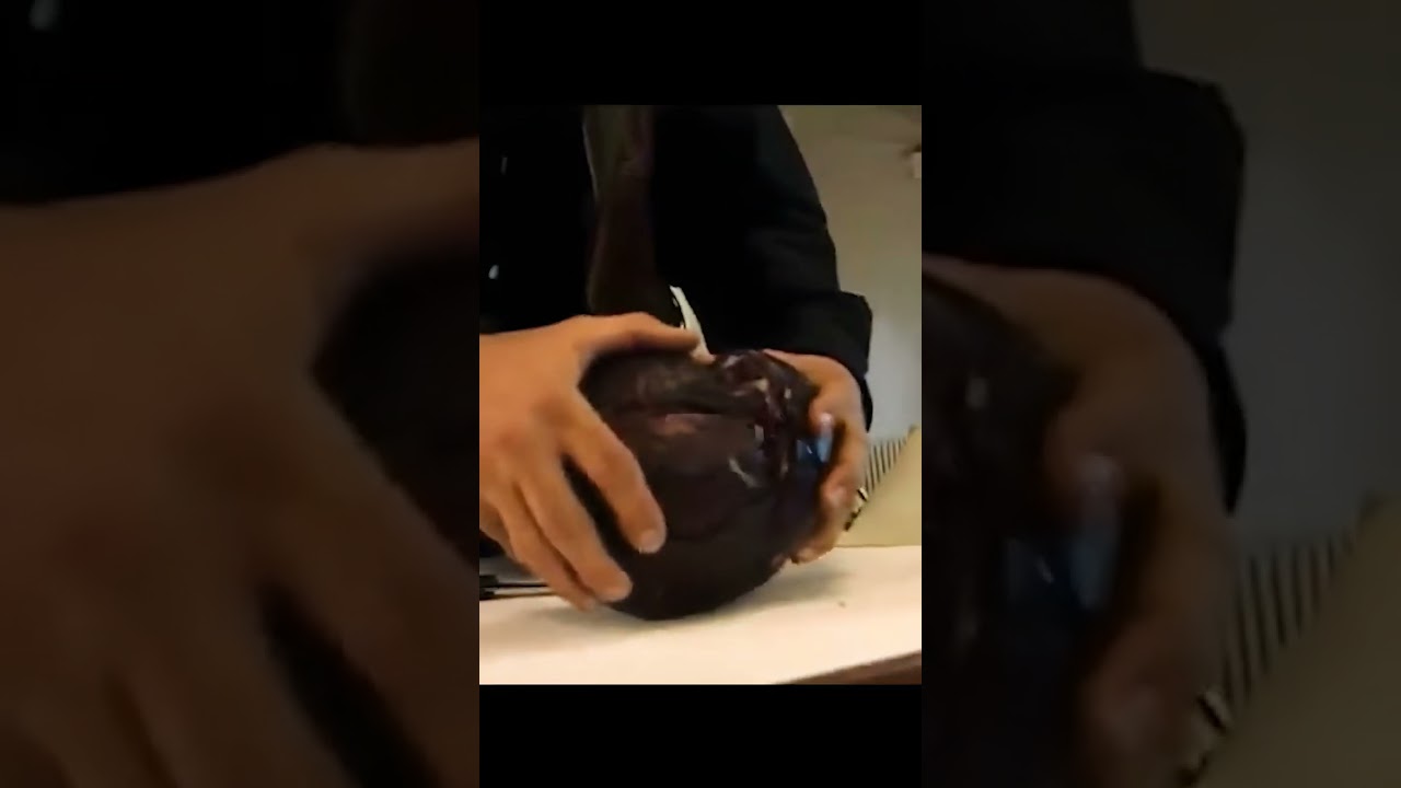 CABBAGE NETWORK (Enhanced 4K)