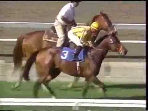 Romarin - 1 mile turf